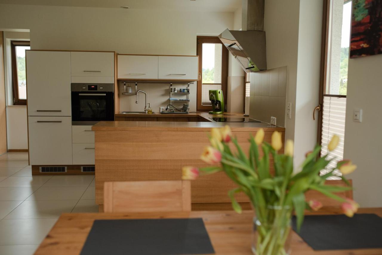 Apartament Sloneczna Rapsodia - Blisko Parku Zdrojowego - Piekny Widok - Ogrod - Taras Rabka Bagian luar foto